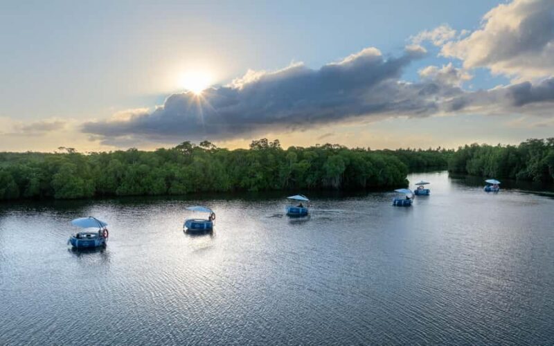 Denarau: Self Drive BBQ eBoat Cruise with Onboard BBQ Fiji - The Sum Up