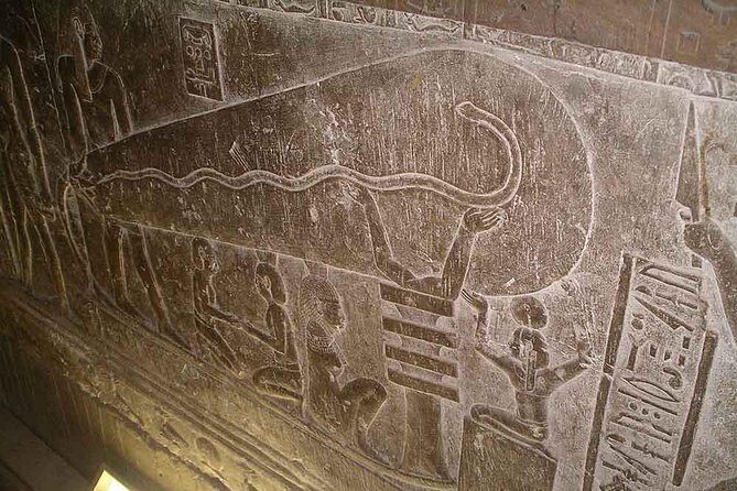 Dendera Temple Half Day Private Tour from Luxor - Why This Tour Might Be Perfect for You