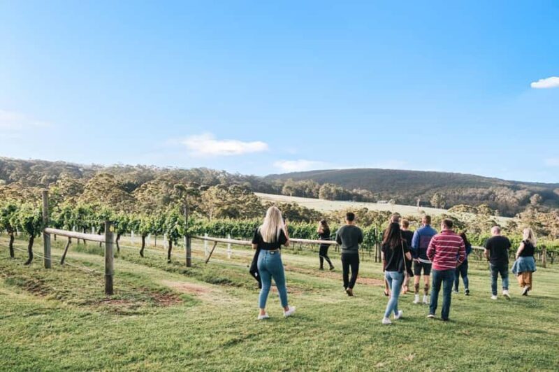 Denmark: A Sense of Place Singlefile Wines Tour & Tasting - The Sum Up