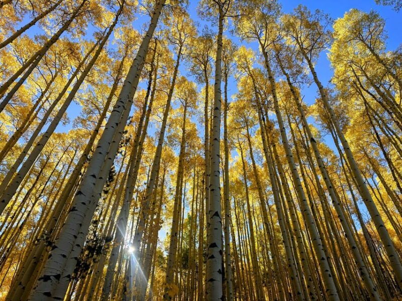 Denver: Guided Hiking Tour & Mountain Town Exploration - An Authentic Look at the Colorado Front Range