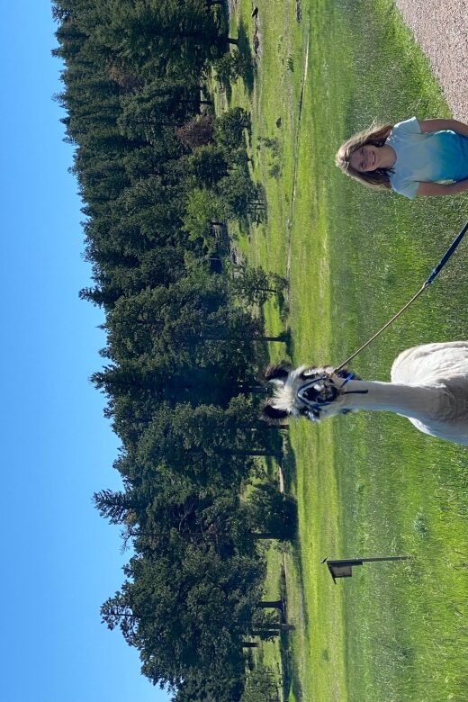 Denver: Llama Hike in the Rocky Mountains - Why Choose the Llama Hike? An Honest Look