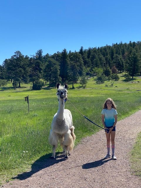 Denver: Llama Hike in the Rocky Mountains - Practical Details and Tips