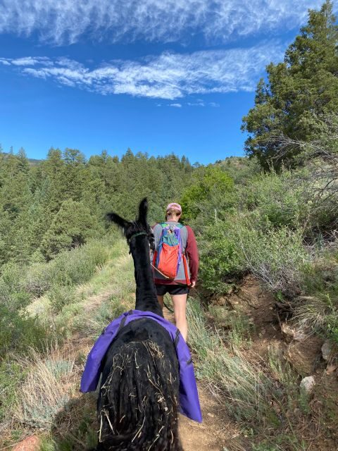 Denver: Llama Hike in the Rocky Mountains - Who Is This Tour Best For?