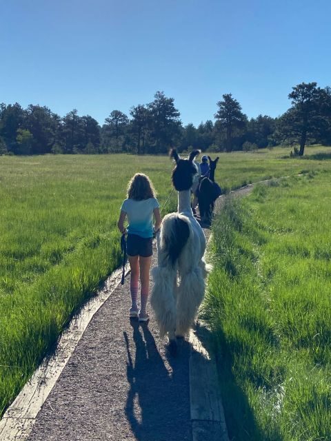 Denver: Llama Hike in the Rocky Mountains - Frequently Asked Questions