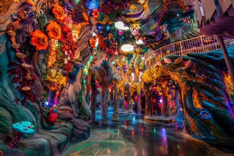 Denver: Meow Wolf Convergence Station Ticket - FAQ