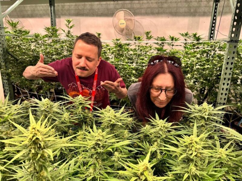 Denver: Private Luxury Cannabis Tour - An In-Depth Look at the Denver Luxury Cannabis Tour
