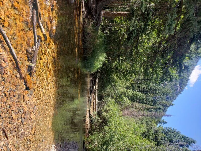 Denver: Rocky Mountain National Park Tour with Picnic Lunch - Frequently Asked Questions