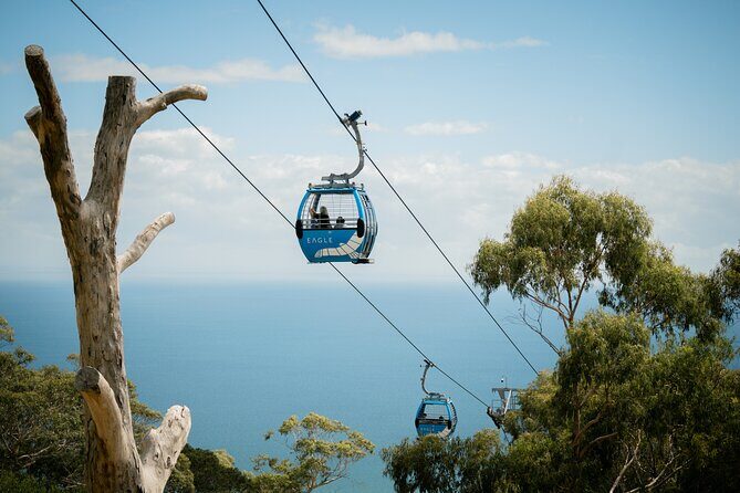 Depart Peninsula: Mornington Peninsula Food and Wine Tour - FAQ
