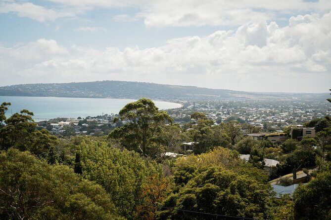 Depart Peninsula: Mornington Wine & Hot Springs Tour with Lunch - Practical Details: Transport, Comfort, and Cost