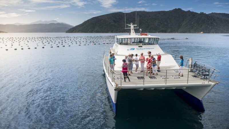 Depart Picton: Marlborough Sounds Afternoon Seafood Cruise - FAQ