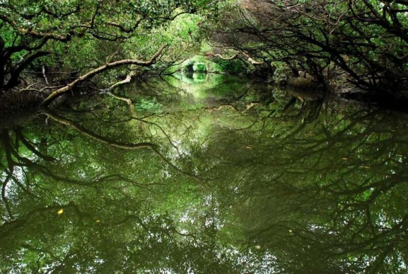 Departing from Kaohsiung or Tainan: Tainan City Day Trips - Key Points