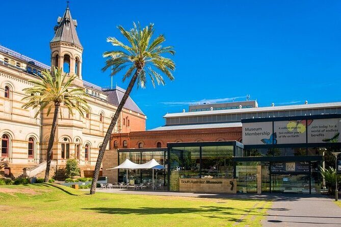 Departure Transfer: Adelaide to Airport ADL by Business Car - The Experience from Booking to Drop-off