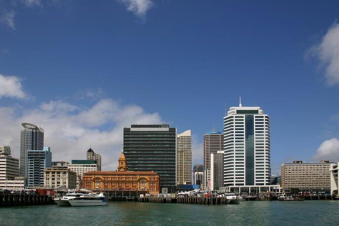 Departure Transfer: Auckland Central City Centre to Auckland Airport - The Pros and Cons of This Service