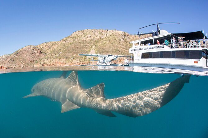 Derby to Horizontal Falls Half Day Adventure - An In-Depth Look at the Experience