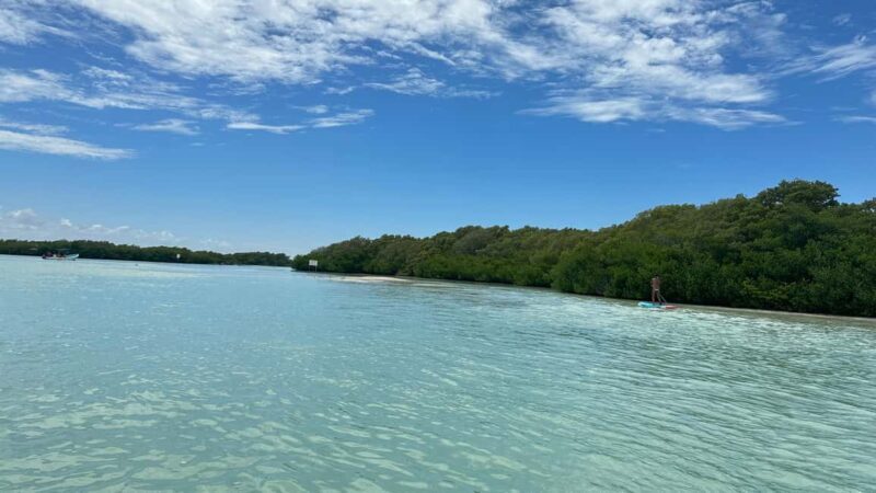 Desde Merida: Isla columpios - What the Tour Includes & What It Doesnt