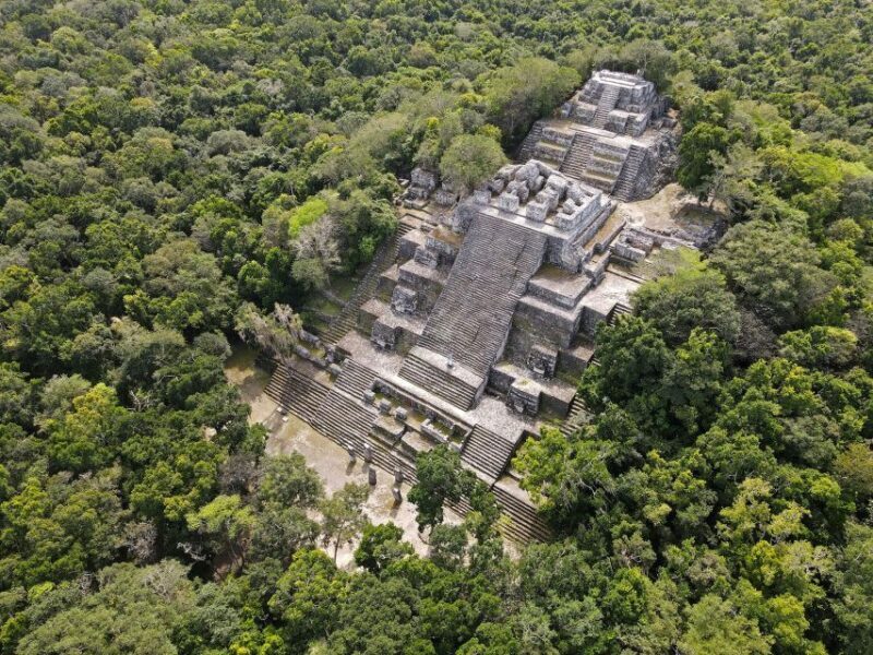 Desde Palenque: Zona Arqueológica Calakmul - Final Thoughts: Is This Tour Right for You?