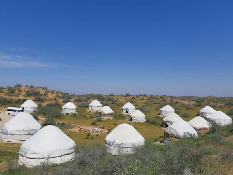 Desert Adventure from Samarkand: Yurt Camp & Aydarkul Escape - A Closer Look at the Tour Experience