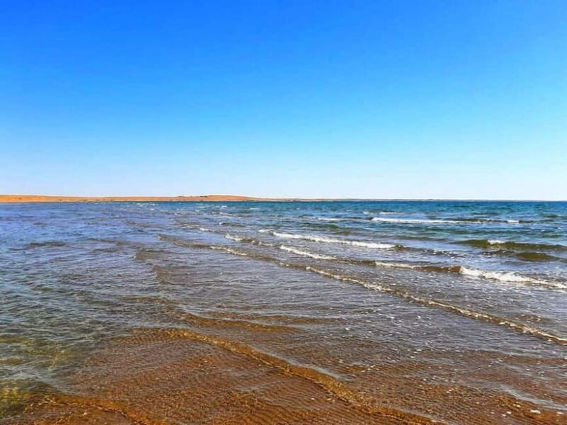 Desert Adventure from Samarkand: Yurt Camp & Aydarkul Escape - Practicalities