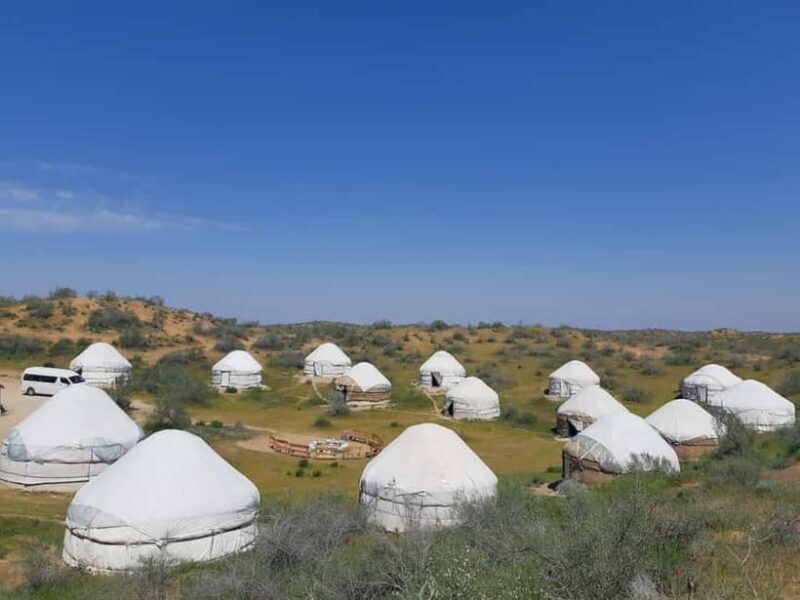 Desert Adventure from Samarkand: Yurt Camp & Aydarkul Escape - Who Will Love This Tour?