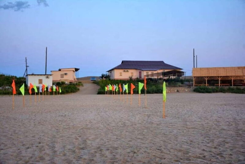 Desert Adventure from Samarkand: Yurt Camp & Aydarkul Escape - FAQ