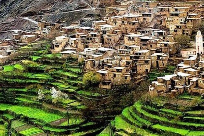Desert Agafay and Atlas Mountains & Camel ride Day Trip From Marrakech - An Impressive and Balanced Adventure of Moroccon Nature and Culture