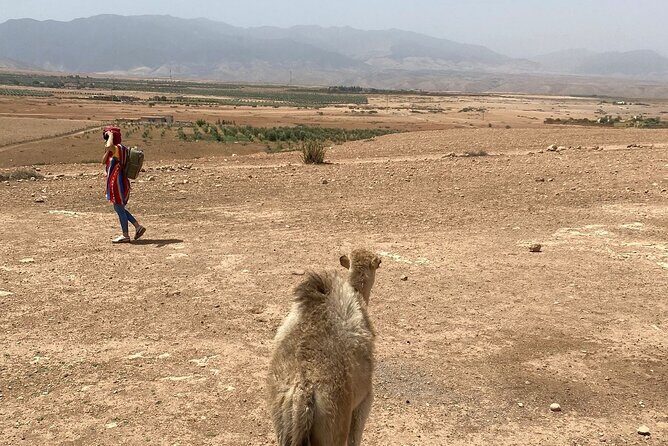 Desert Agafay and Atlas Mountains Day Tour & Camel ride From Marrakech - Sunset & Relaxation