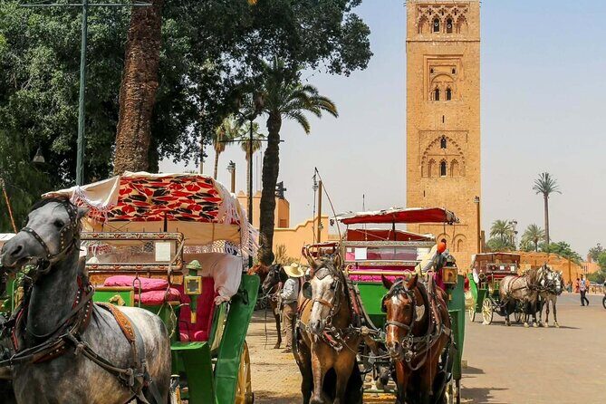 Desert Agafay and Atlas Mountains Day Trip From Marrakech & Quad tour - Final Thoughts