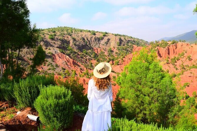 Desert Agafay And Atlas Mountains & Waterfalls Day Trip from Marrakech - Who Would Love This Tour?