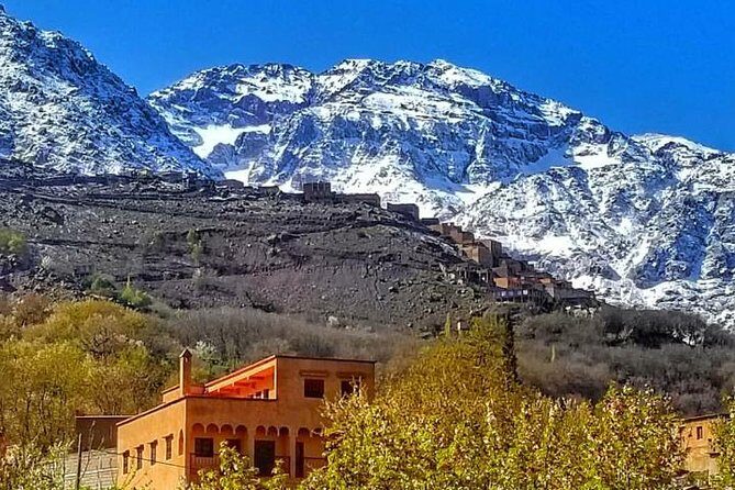 Desert agafay Day trip From Marrakech and Atlas Mountains & Camel Ride - The Value of the Experience