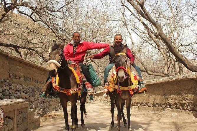 Desert agafay Day trip From Marrakech and Atlas Mountains & Camel Ride - Who Will Love This Tour?