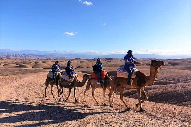 Desert Agafay Dinner Show and Camel Ride with Magical view - Practicalities: What You Need to Know