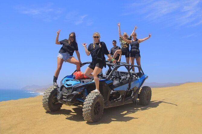 Desert and Beach Buggies Tour - Key Points
