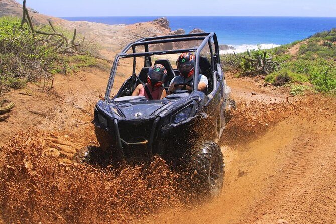 Desert and Beach Buggies Tour - Practical Considerations