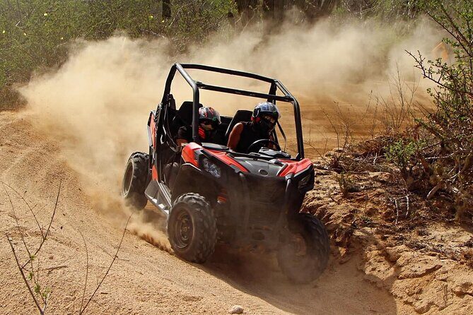 Desert and Beach Buggies Tour - FAQ