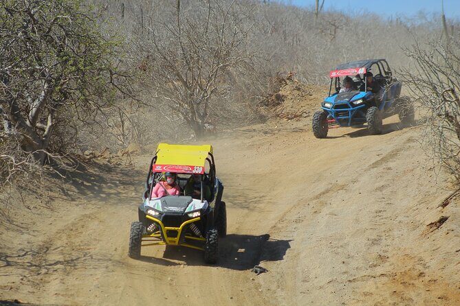 Desert and Beach UTV Adventure with Tequila Tasting - FAQ