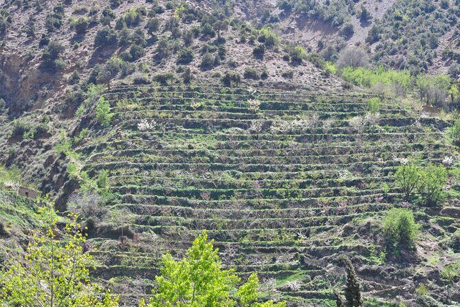 Desert and High Atlas Adventure From Marrakech - Key Points