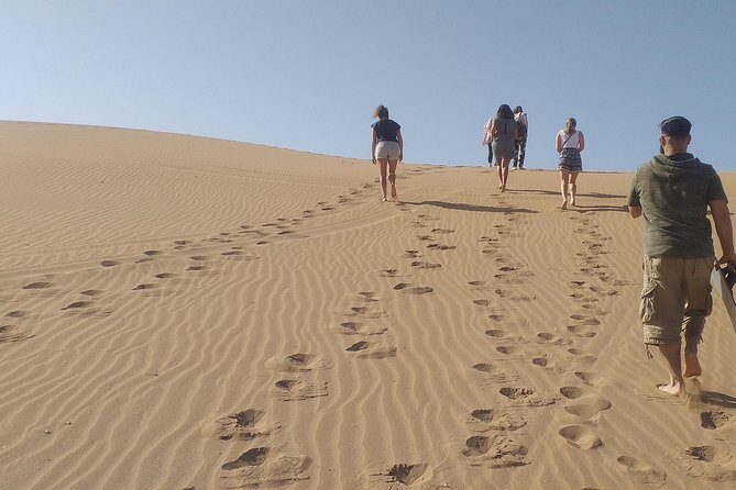 Desert and Wild Beach Day Trip with Meal - Key Points