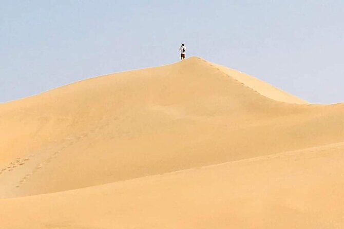 Desert and Wild Beach Day Trip with Meal - FAQ about the Desert and Wild Beach Day Trip