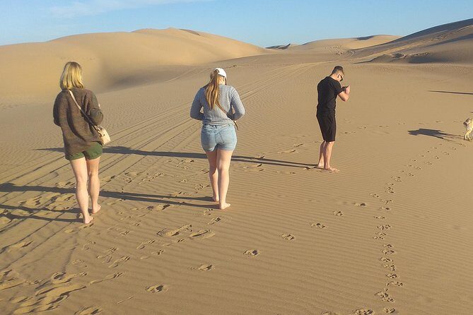 Desert and Wild Beach Day Trip with Meal - Wrapping It Up: Is This Experience for You?
