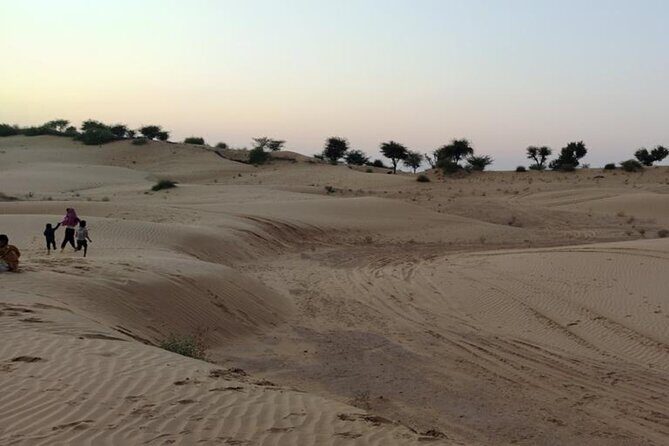 Desert Camel & Jeep Safari Private Tour From Jodhpur - An In-Depth Look at the Desert Camel & Jeep Safari Experience