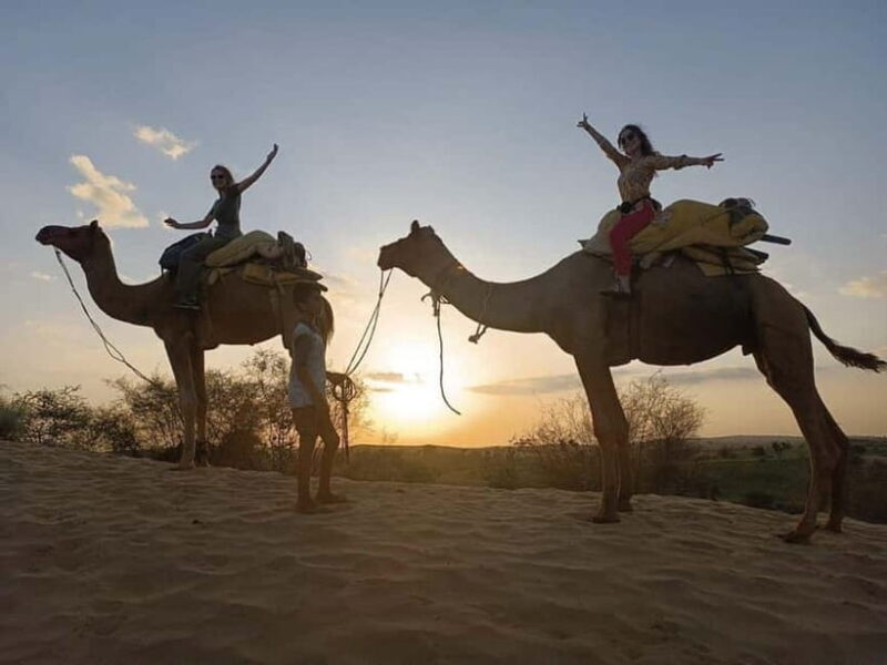 Desert Camel Safari Day Tour In Jodhpur - The Experience in Detail