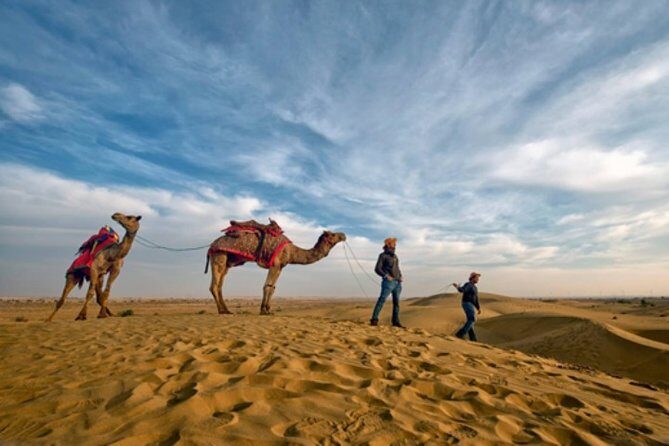 Desert Camel Safari Day Tour In Jodhpur - Introduction