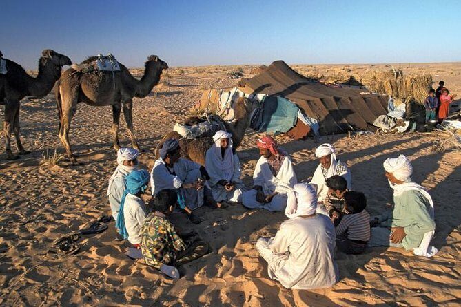 Desert Camping With The Bedouins Under The Stars - White & Black Deserts - A Closer Look at the Tour Itinerary and Highlights