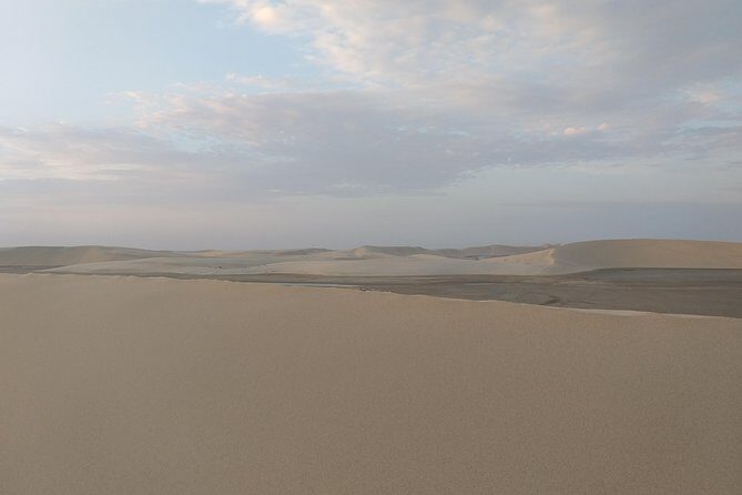 Desert Combo safari, Camel ride, Quad Bike and Dune Bashing(ALL INCLUSIVE) - What Makes This Tour a Great Deal