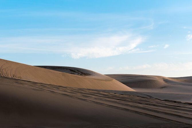 Desert Combo safari, Camel ride, Quad Bike and Dune Bashing(ALL INCLUSIVE) - Final Thoughts: Is It Worth It?