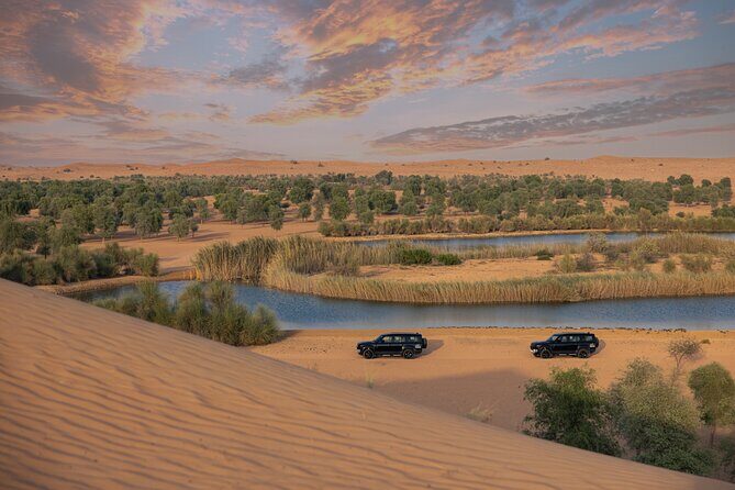 Desert Conservation Wildlife Drive & Breakfast at Al Maha Resort - The Itinerary: Step-by-Step Experience