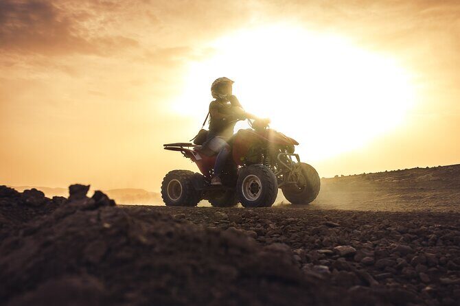 Desert D'Agafay Package - Quad, Dromedary and Dinner Show - An In-Depth Look at the Experience
