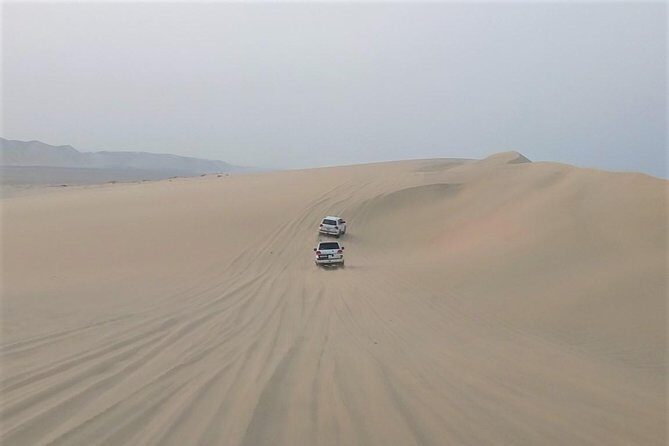 Desert Dune Bashing, Camel Ride, Sandboarding & Inland Sea. - The Sum Up