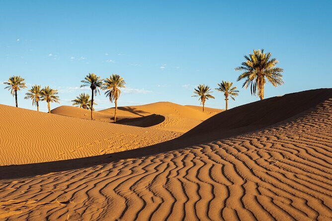 Desert Erg Chigaga Trip from Marrakech: 3 Days - Key Points