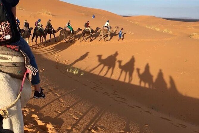 Desert excursion with camel trek into the camp Dinner breakfast - An In-Depth Look at the 3-Day Desert Tour